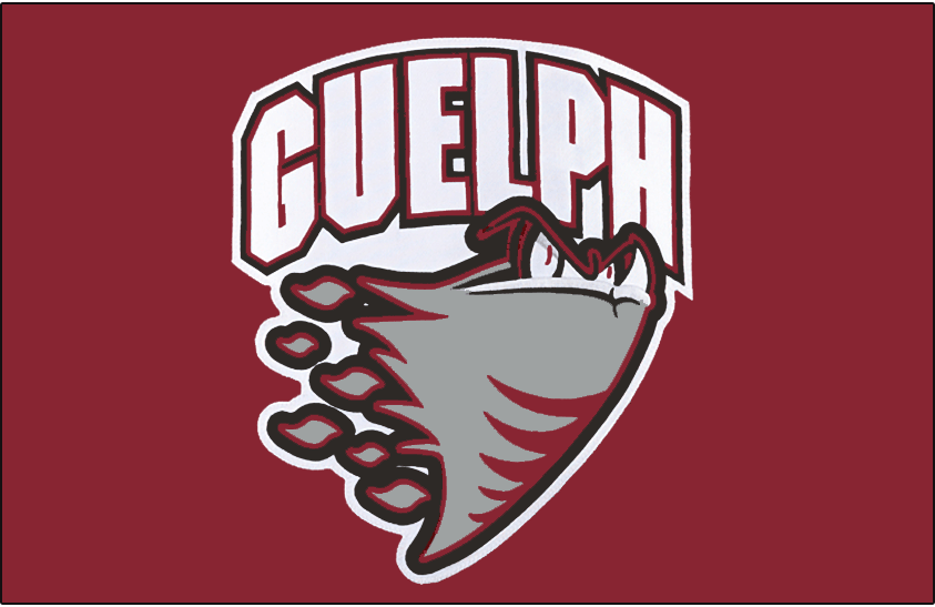 Guelph Storm 2007-2018 Jersey Logo iron on heat transfer